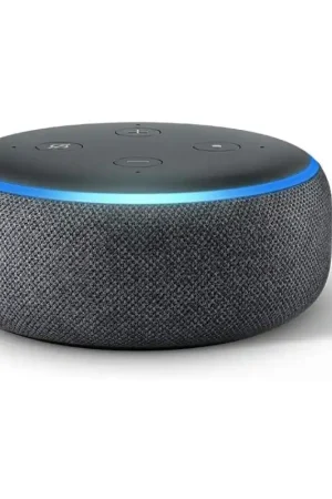 Envío Exprés AMAZON Alexa Echo Dot