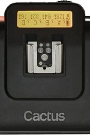 Promoción Exclusiva Cactus V6