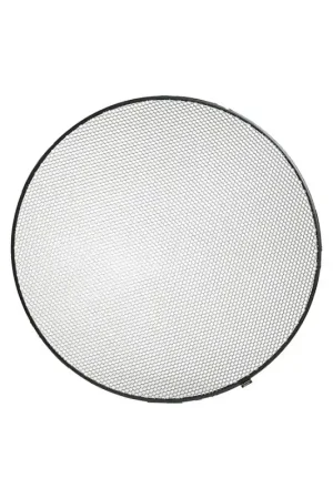 Profoto Grid de 25 grados para Softlight Mejor Precio