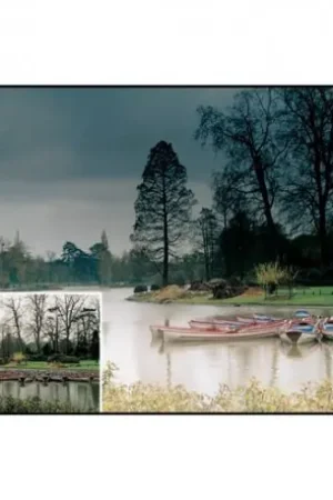 Popular Cokin degradado Gris Z121