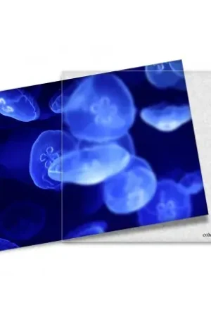 Novedad Cokin ND X152 2X