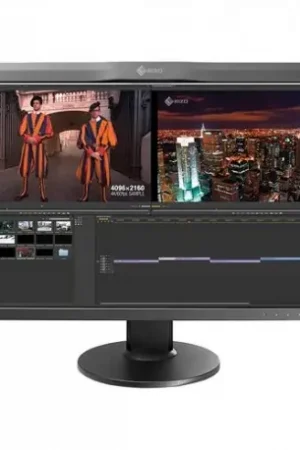 Compra Hoy Eizo Coloredge CG319x-4k