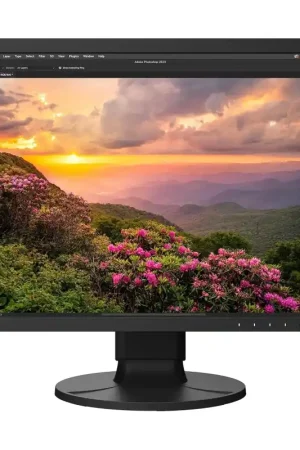 Ocasión Especial Eizo Coloredge CS2400S