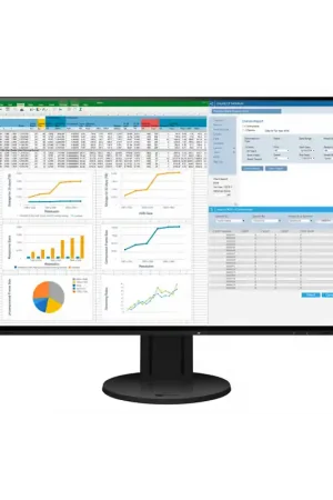 Eizo FlexScan EV2457 Envío Gratis