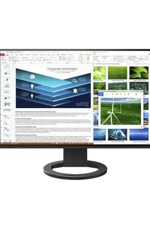 Eizo FlexScan EV2485 Marca Reconocida