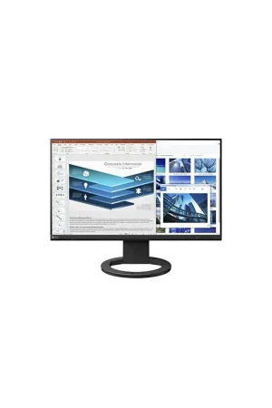 Eizo FlexScan EV2490 Oferta Flash