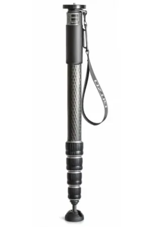 Comprar En Línea Gitzo Monopie GM45452. Serie 5. Carb. 5 Secc. Largo