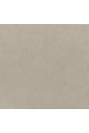 Lastolite Fondo de Papel Artic Grey 2.75x 11 M. Económico