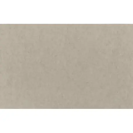 Lastolite Fondo de Papel Artic Grey 2.75x 11 M. Económico