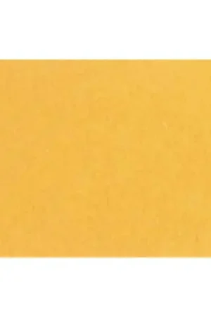 Novedad Lastolite Fondo de Papel Corn 2.75x 11 M.