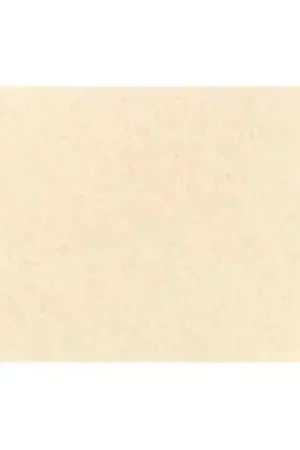 Garantía De Devolución De Dinero Lastolite Fondo de Papel Ivory 2.75 x 11 M.