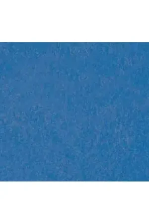 Imprescindible (Must-Have) Lastolite Fondo de Papel Ocean 2.75 x 11 M.