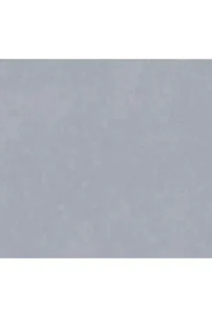 Liquidación Lastolite Fondo de Papel Pewter 2.75 x 11 M.