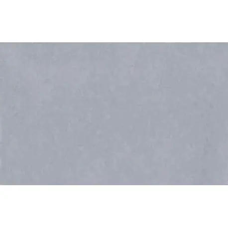 Liquidación Lastolite Fondo de Papel Pewter 2.75 x 11 M.