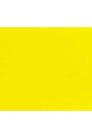 Lastolite Fondo de Papel Primrose Amarillo 2.75 x 11 M. Novedad