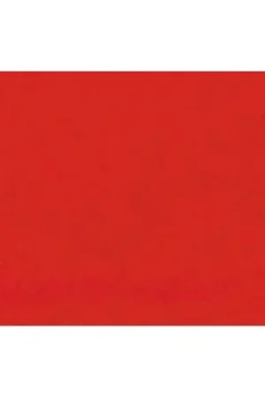 Marca Reconocida Lastolite Fondo de Papel Rojo 2.75 x 11 M.