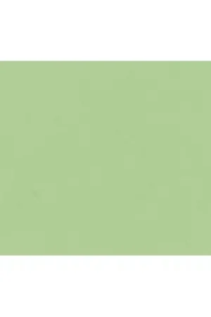 Últimas Unidades Lastolite Fondo de Papel Verde CromaKey 2.75 x 11 M.