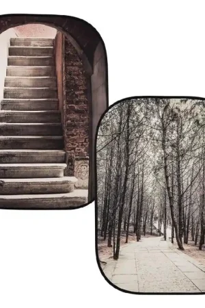 Manfrotto Fondo Perspectiva Escaleras Arboles 1-5X2-1 Ordena Ya