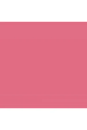 Superior Fondo de cartulina Watermelon 2.75 x 11m Última Versión