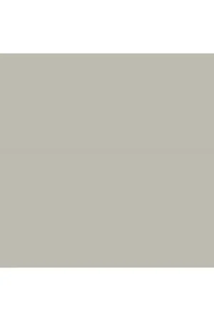 Ordenar Ahora Mismo Superior Fondo de Cartulina Dull Aluminum 2.75 x 11m