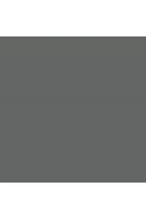 Marca Reconocida Superior Fondo de cartulina Thunder Gray 2.75 x 11m