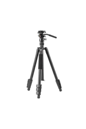 Vanguard Vesta GO 264AV12 Última Versión