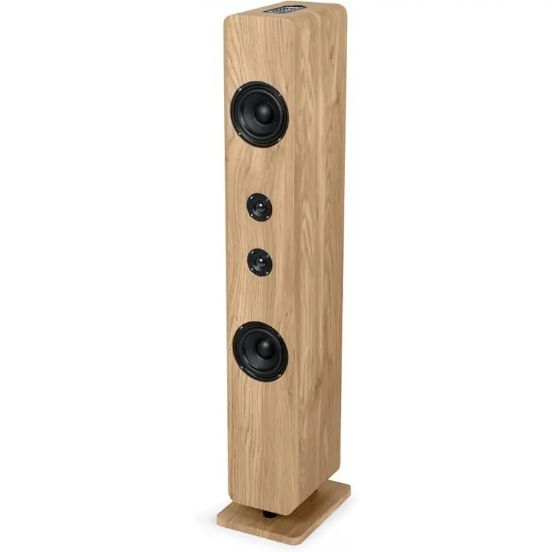 Entrega Rápida Torre de sonido Thomson DS702