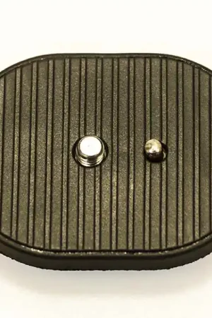 Precio Rebajado PLATO SWISS-PRO P/RF-51