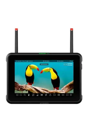 Alta Calidad ATOMOS SHINOBI 7 RX SHINOBI 7 RX Monitor 7" y 2200 nits con control de cámara y receptor de vídeo inalámbrico integrado