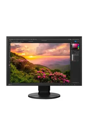 Últimas Unidades EIZO CS2400S Monitor EIZO 24" HD (1920x1200) para corrección de color