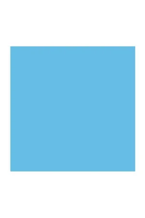 ROSCO E202 Rollo de 762x122cm de filtro corrector de color. 1/2 CTB Oferta