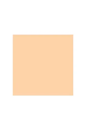 Oferta Flash ROSCO E205 Rollo de 762x122cm de filtro corrector de color. 1/2 CTO