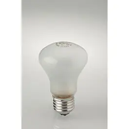 Envío Gratis ELINCHROM LAMPARA MODELADO 100W