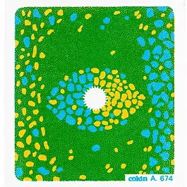 Última Oportunidad COKIN FILTRO A674 SPOT AZUL/AMAR.