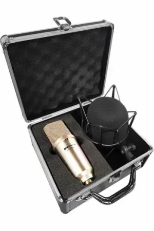 Gran Oferta MARK WES 2000 Micrófono de condensador de gran diafragma.