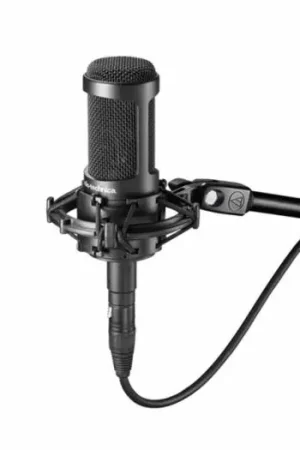 Audio-Technica AT2050 Oferta De Temporada