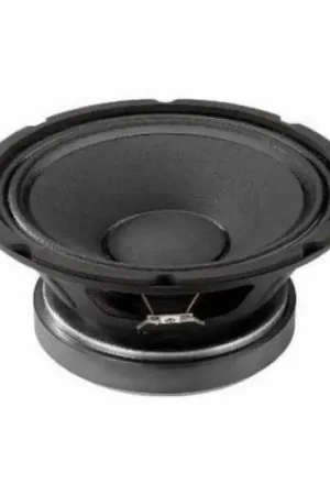 Seven Soundvector SVG10 Woofer 10 Pulgadas Altavoz Profesional de Grave Medio-Grave 8 Ohm 200W AES Novedad