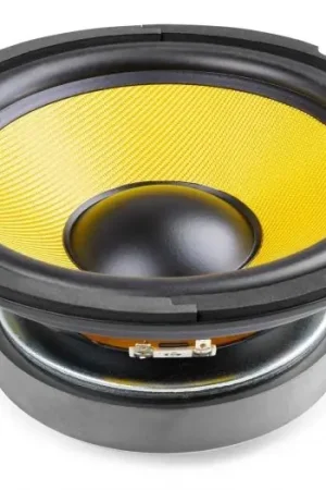 Liquidación Fenton WK20 Woofer de 20cm con cono Kevlar 250Wrms 902426