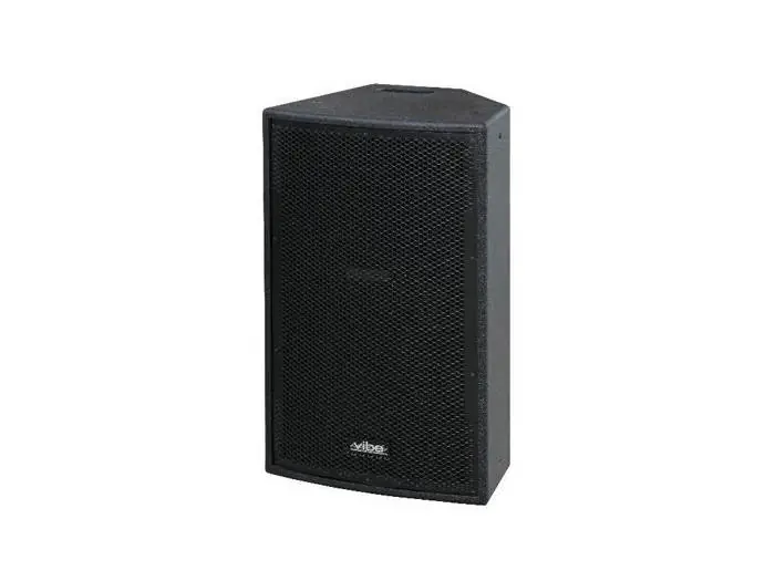 Precio Rebajado JB Systems VIBE-12 MK2 500 WATIOS PEAK