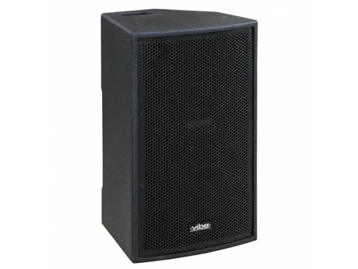 JB SYSTEMS VIBE-12 MKII CAJA ACustica 12" 250W Venta Final