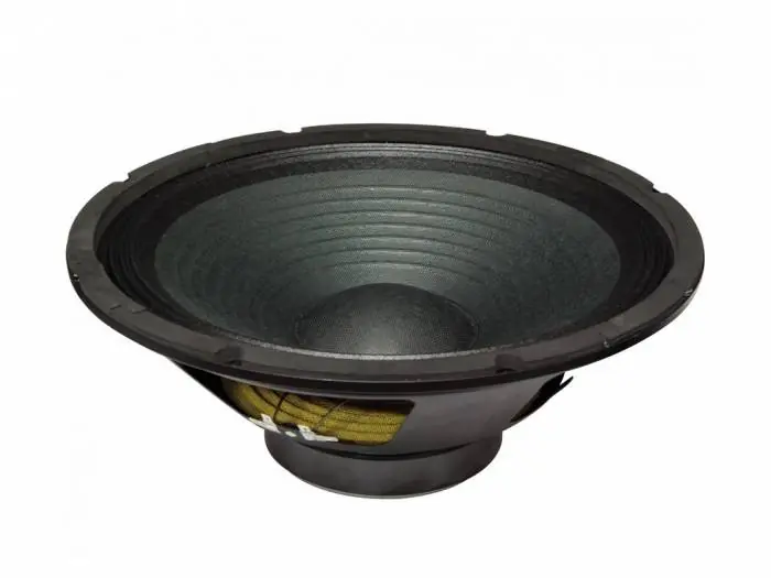 Venta Final MARK ALT 200/15 Altavoz 15''. 200 W @ 8 Ohm.