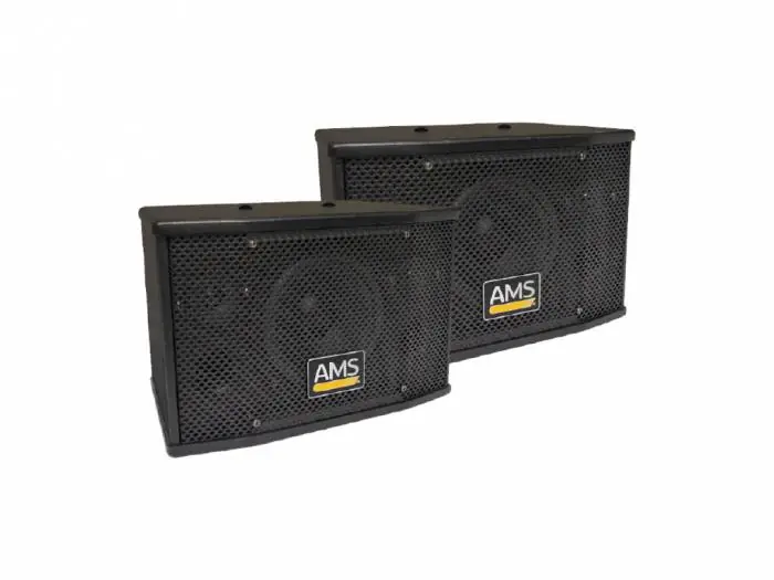 Favorito De Clientes AMS 80 DISCO Caja acústica pasiva