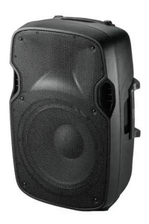 Ibiza Sound XTK12 - Altavoz Pasivo A Buen Precio