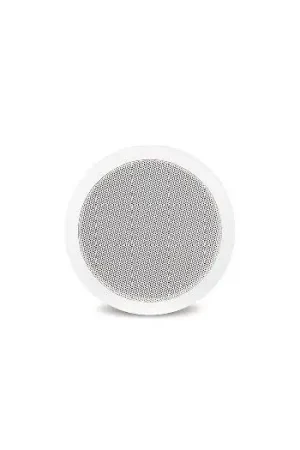 Oferta De Temporada Fonestar GA-245 - Altavoz de techo de 4 pulgadas en baja impedancia