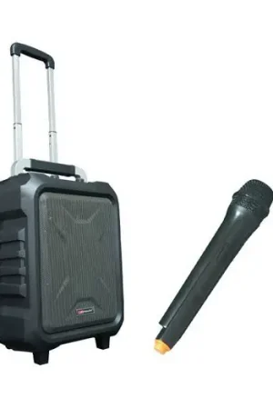 Liquidación MARK MAM 90 USB MKII Sistema audio portátil amplificado