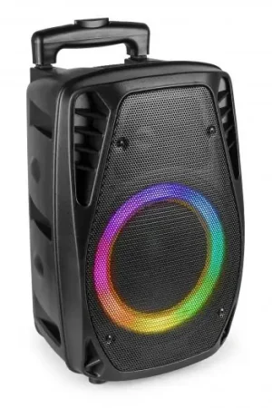 Fenton FT8LED-MK2 Sistema portátil de sonido 8" 170018 Alta Calidad