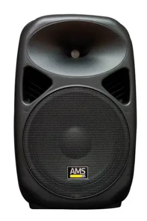 Oferta De Temporada AMS ASP 415 MKII Altavoz Pasivo 15"
