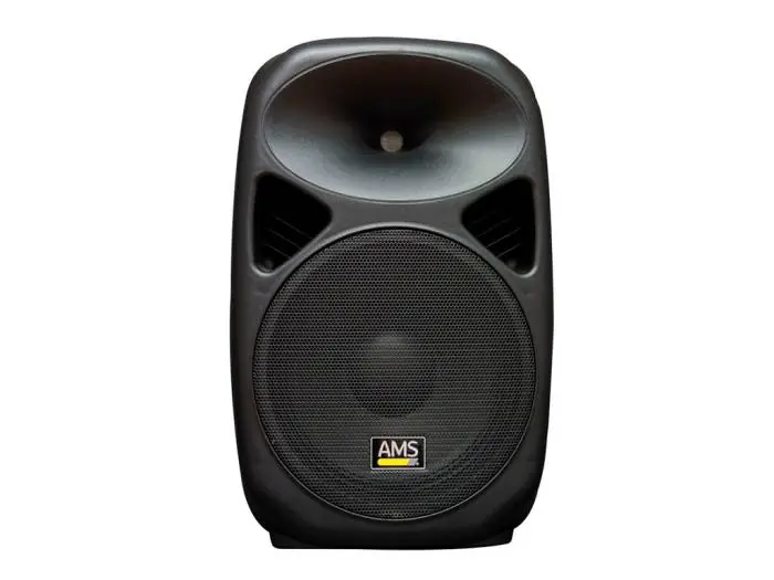 Oferta De Temporada AMS ASP 415 MKII Altavoz Pasivo 15"