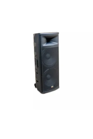 AMS ASP 1215 A Caja acústica activa. 2x Woofer 15' + Driver 1'. 200 W. Bluetooth. USB/SD. Precio Reducido