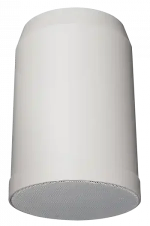 DAP Audio HS-510P Altavoz para colgar de 10 W, 5" Oferta Especial